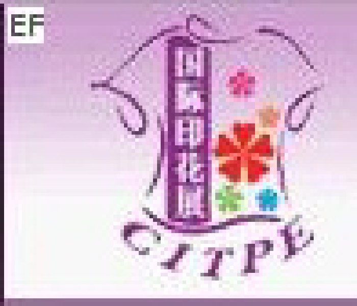 2008東莞國(guó)際紡織品工業(yè)技術(shù)展覽會(huì)